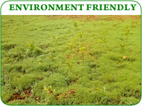 Environment Friendly